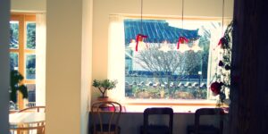 햇이 들어오는 카페