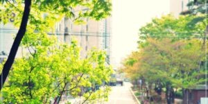 아침 햇살